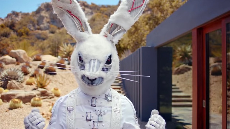The Masked Singer, The Rabbit